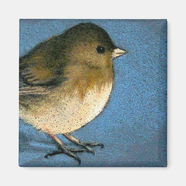 JUNCO BIRD ZEICHNEND MAGNET (Vorne)