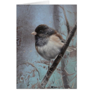 Junco Blank Card von Andrew Denman