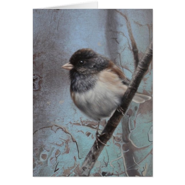 Junco Blank Card von Andrew Denman (Vorne)