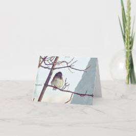 Junco in Montana Winter - 4" x 5.6" Notecard Feiertagskarte