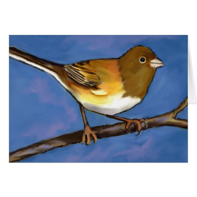 Junco: Vogel: Tier-Kunst: Malen (Vorderseite (Horizontal))