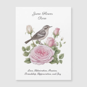 June Birth Month Blume Rose Elegante Magnetkarte