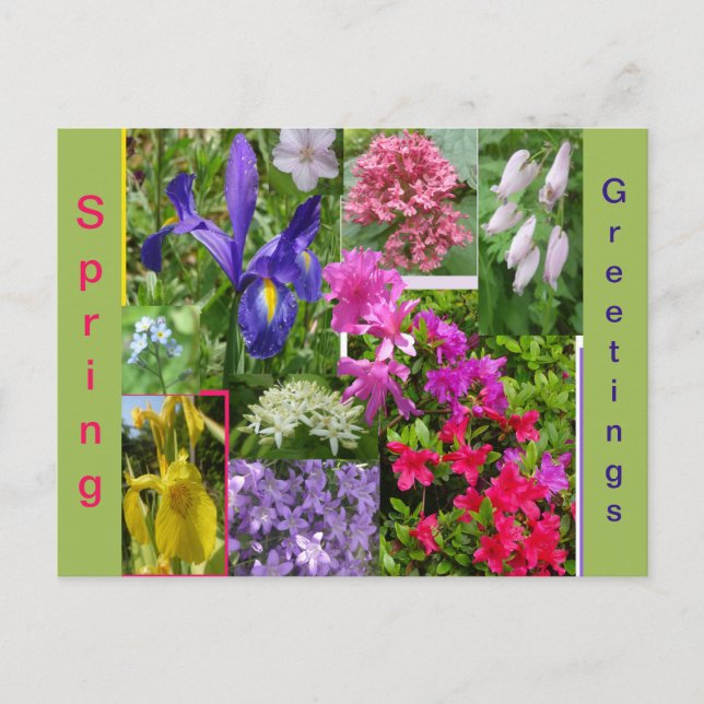 June Blume Kollage. Postkarte (Vorderseite)