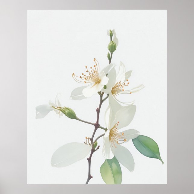 June Honeysuckle Birth Blume Poster (Vorne)