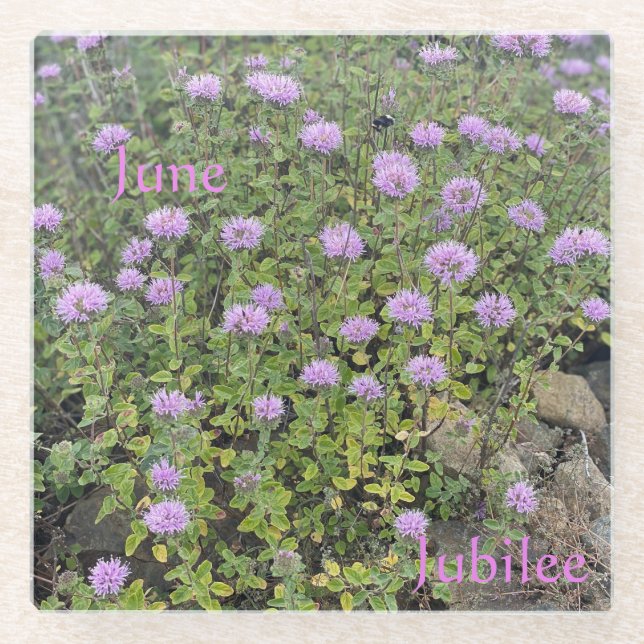 June Jubilee Glass Untersetzer (Vorderseite)