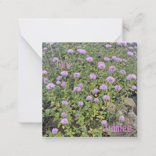 June Jubilee Mitteilungskarte (Vorderseite)