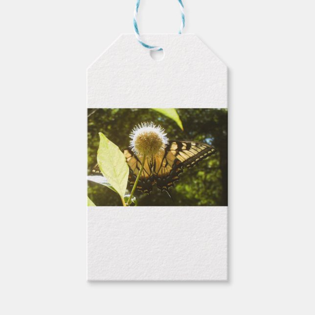 June Monarch Blume Geschenkanhänger (Vorderseite)