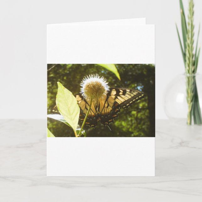 June Monarch Grußkarte Karte (Vorderseite)