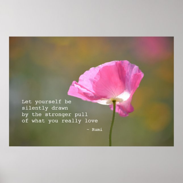 June Poppy Poster (Vorne)