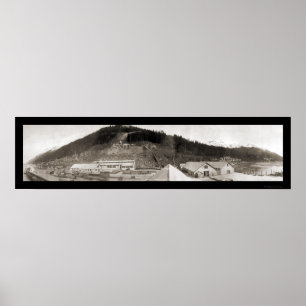 Juneau, AK Schaf-Nebenfluss-Foto 1914 Poster