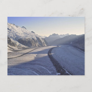 Juneau Icefield Postcard Postkarte