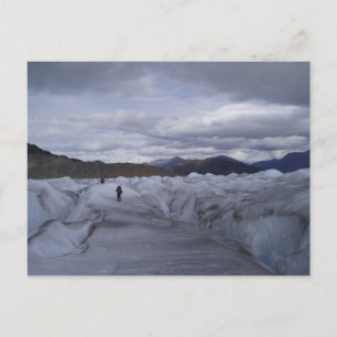 Juneau Icefield Postcard Postkarte