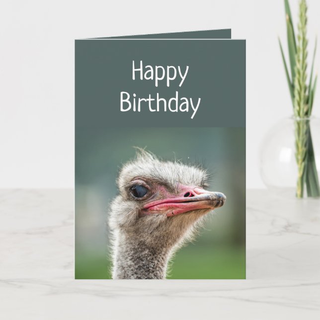 Jung war einmal dabei, den urteilsfähigen Strauß z Karte (Vorderseite)