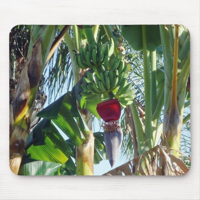 Junge Bananen Mousepad (Vorne)