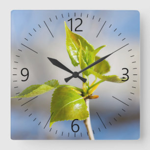 Junge Blätter Quadratische Wanduhr