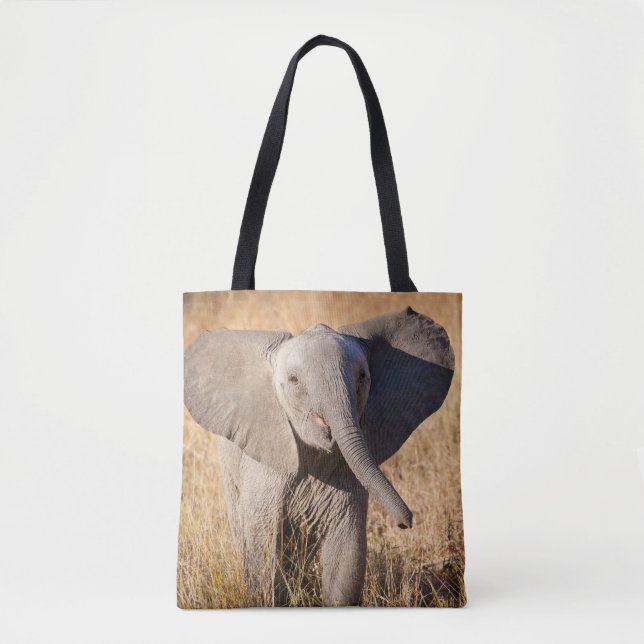 Junge Bush-Elefant (Vorderseite)