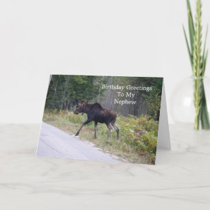 Junge Elche auf Road-Nephews Geburtstag Karte