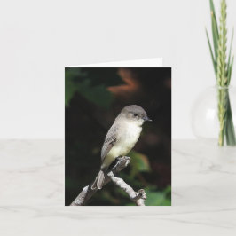 Junge Fotze innen leer Karte