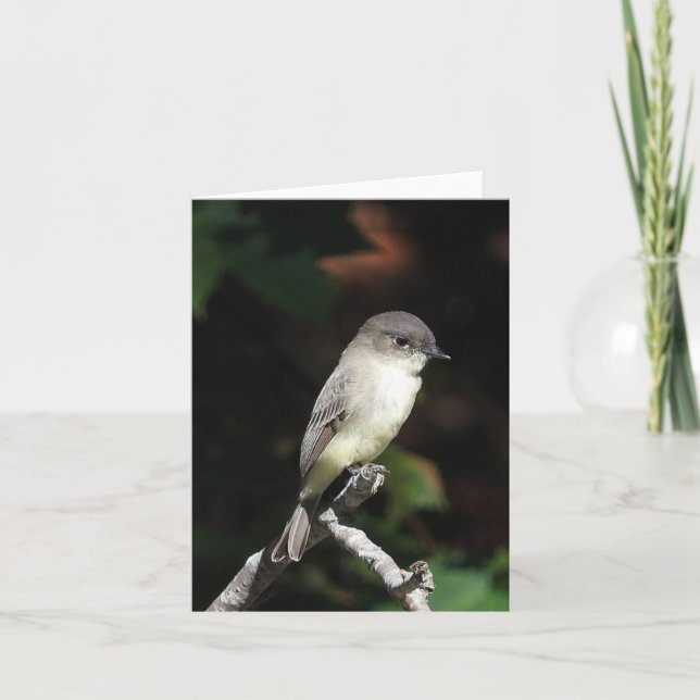 Junge Fotze innen leer Karte (Vorderseite)