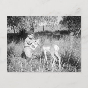 Junge füttert Antilope Postkarte