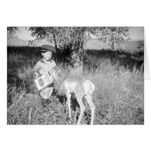 Junge füttre Antilope von Hand