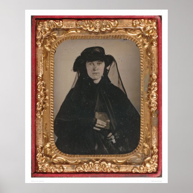 Junge Goldreschwitze (399889) Poster (Vorne)