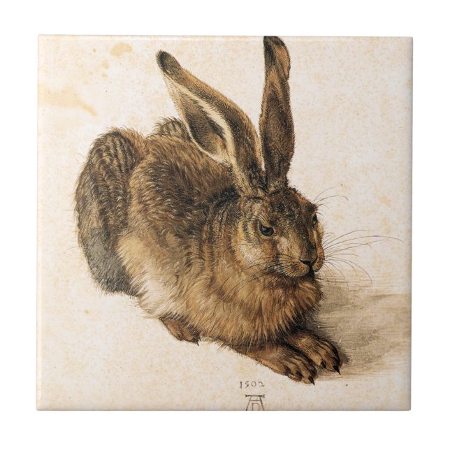 Junge Hase-Fliese Albrecht Durer Fliese (Vorderseite)