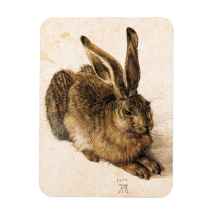 Junge-Hasen Albrecht Durer Magnet