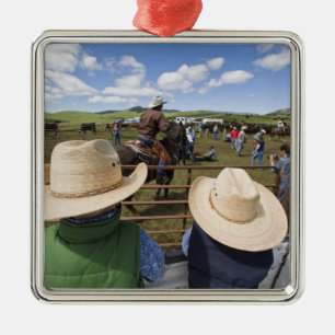 Junge Jungen lassen die Hughes-Ranch 2007 ein Silbernes Ornament