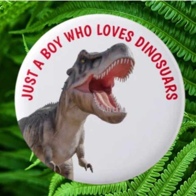 Junge Lieben Dinosaurier Button (Bring your dream party to life with our selection of quality Dinosaur themed party supplies )
