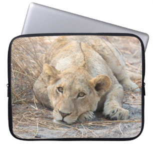 Junge Löwe Laptopschutzhülle