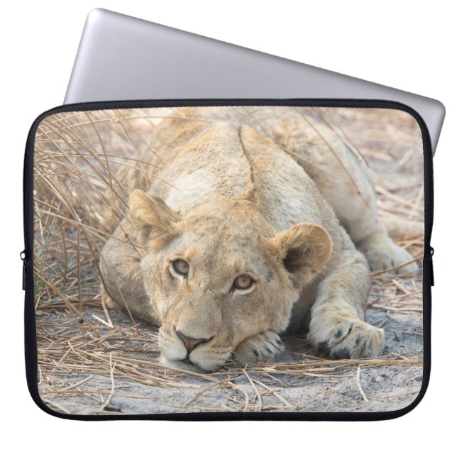 Junge Löwe Laptopschutzhülle (Vorderseite)
