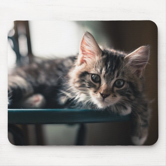 Junge männliche Tabby-Katze 2 Mousepad (Vorne)