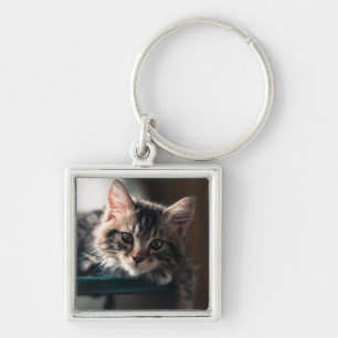 Junge männliche Tabby-Katze 2 Schlüsselanhänger