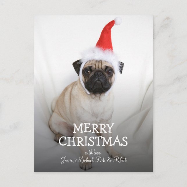 Junge Mops mit Weihnachtsmannmütze Feiertagspostkarte (Vorderseite)