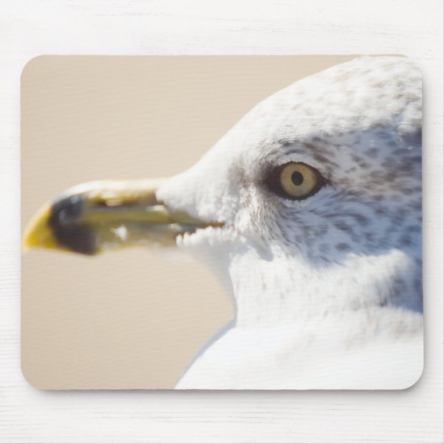 Junge Möve Mousepad (Vorne)