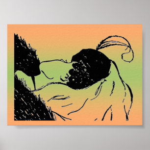 Junge oder alte Frau Illusion Poster