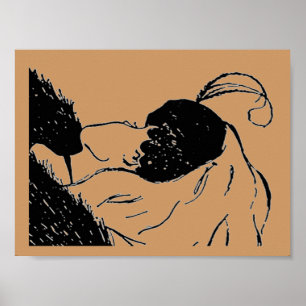 Junge oder alte Frau Illusion Poster