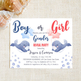 Junge oder Mädchen Walgeschlecht enthüllt Budget e