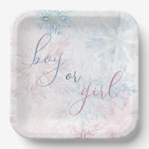 Junge oder Mädchen Winter Pink Blue Snowflake Pappteller