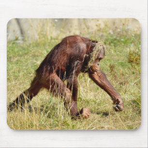 Junge Orang-Utan auf Gras Mousepad