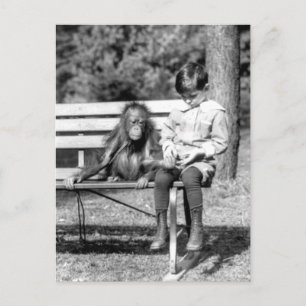 Junge & Orang-Utan Vintage National Zoo Washington Postkarte