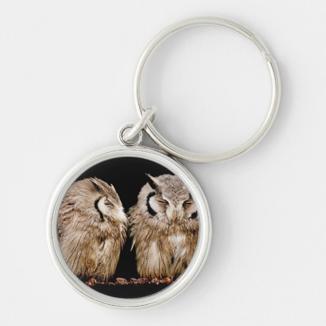 Junge Owlets Schlüsselanhänger (Vorne)