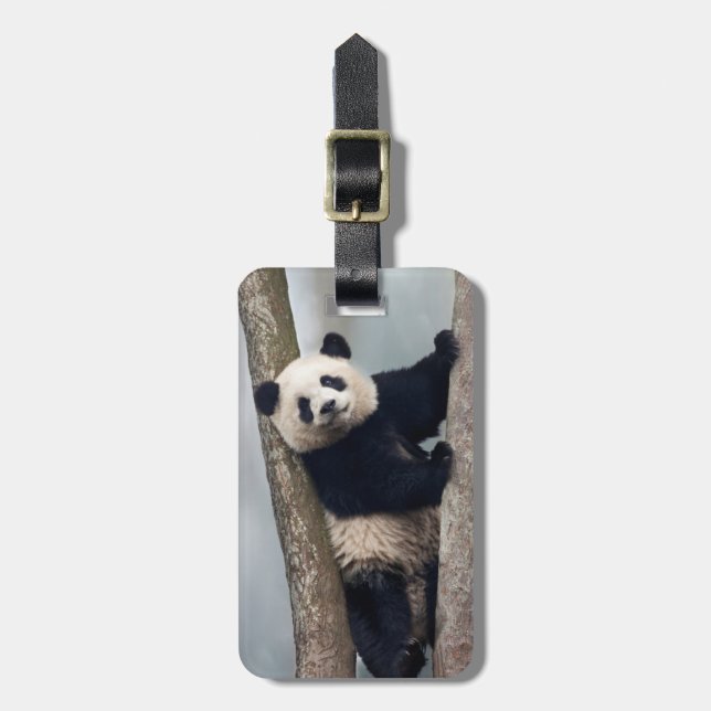 Junge Panda klettert auf einen Baum, China Gepäckanhänger (Vorderseite vertikal)