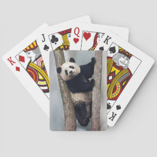Junge Panda klettert auf einen Baum, China Spielkarten