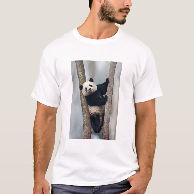 Junge Panda klettert auf einen Baum, China T-Shirt (Vorderseite)