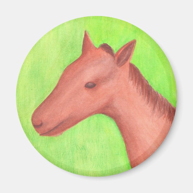 Junge Pferde, Pony, im Aquarellmagazin Magnet (Vorne)