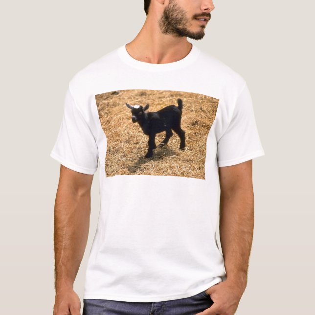 Junge Pigmy-Ziege T-Shirt (Vorderseite)