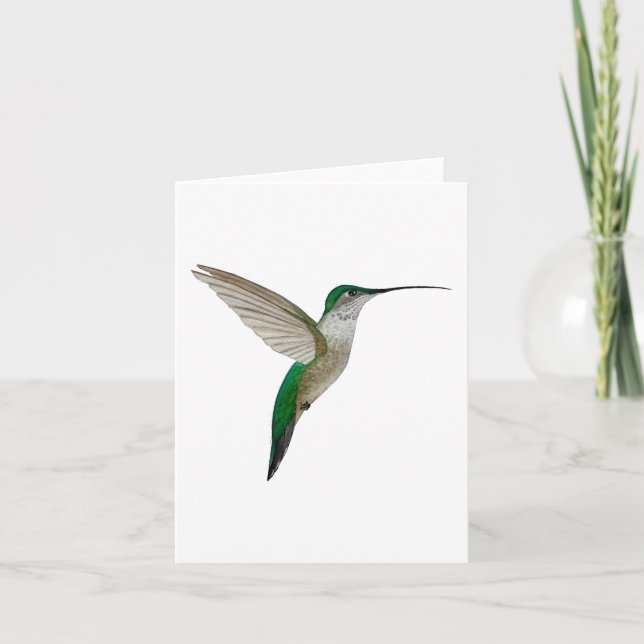 Junge Ruby-throated Hummingbird Karte (Vorderseite)