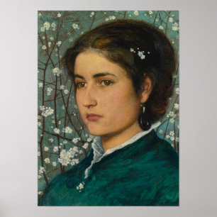 Junge Schönheit (elegante Frau) (weibliches Portra Poster